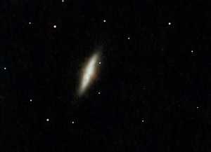 M82 Cigar Galaxy